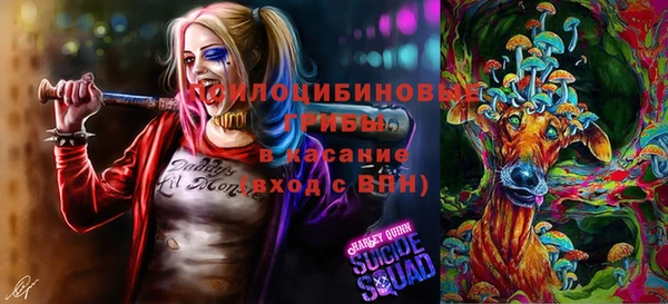 не бодяженный Козельск