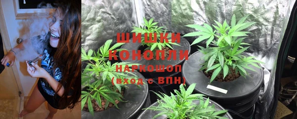 не бодяженный Козельск