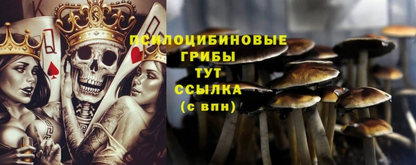 молекула духа Кодинск
