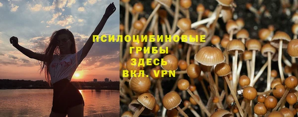 молекула духа Кодинск