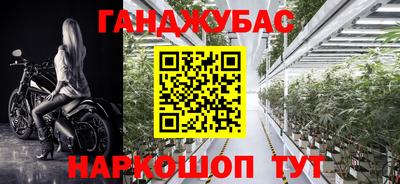ГАЛЛЮЦИНОГЕННЫЕ ГРИБЫ Гусев