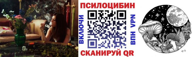Псилоцибиновые грибы Psilocybine cubensis  Керчь 