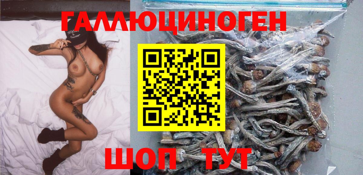 Галлюциногенные грибы Psilocybe Керчь