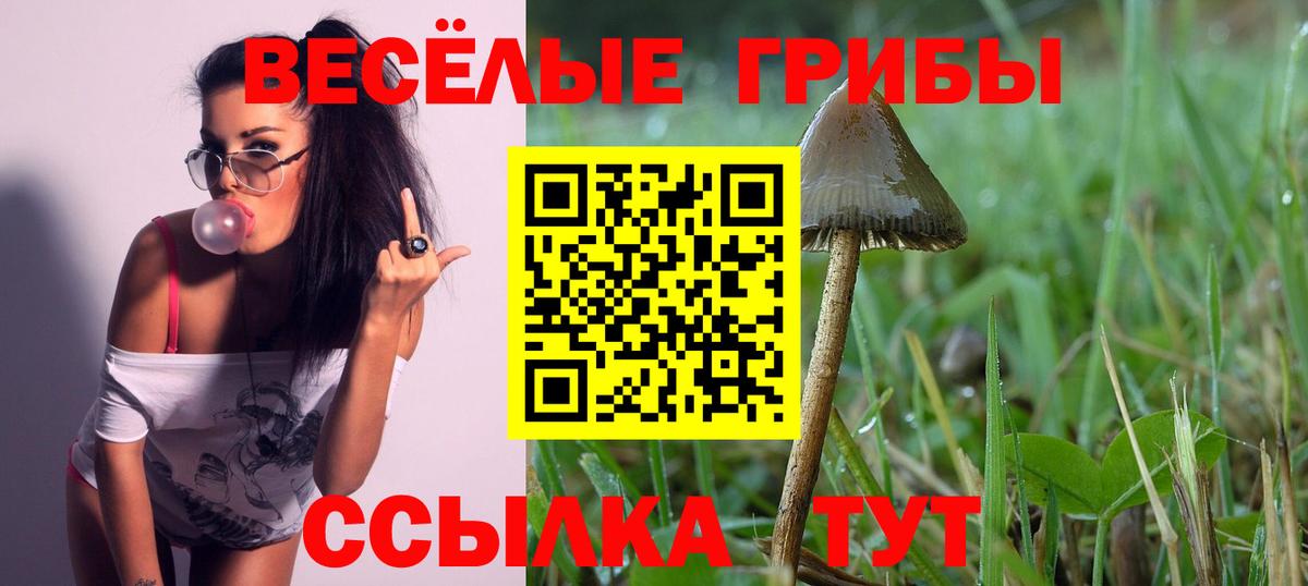 Керчь  Галлюциногенные грибы Psilocybe  Вход с VPN 